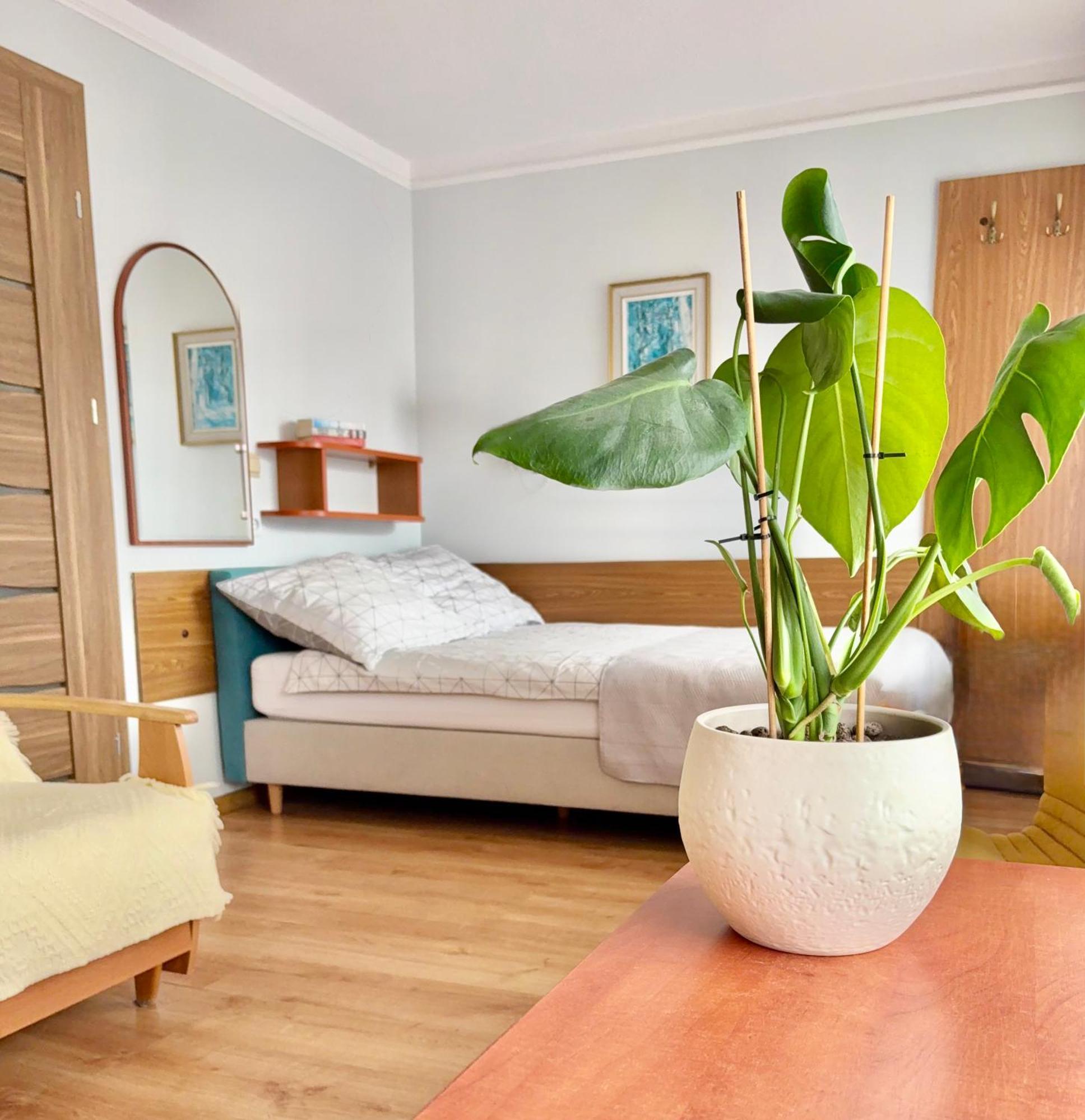 Fonica Bed & Breakfast Leba Luaran gambar